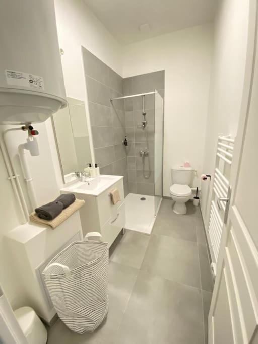 Appartement Coup De Coeur En Centre-Ville オルレアン エクステリア 写真
